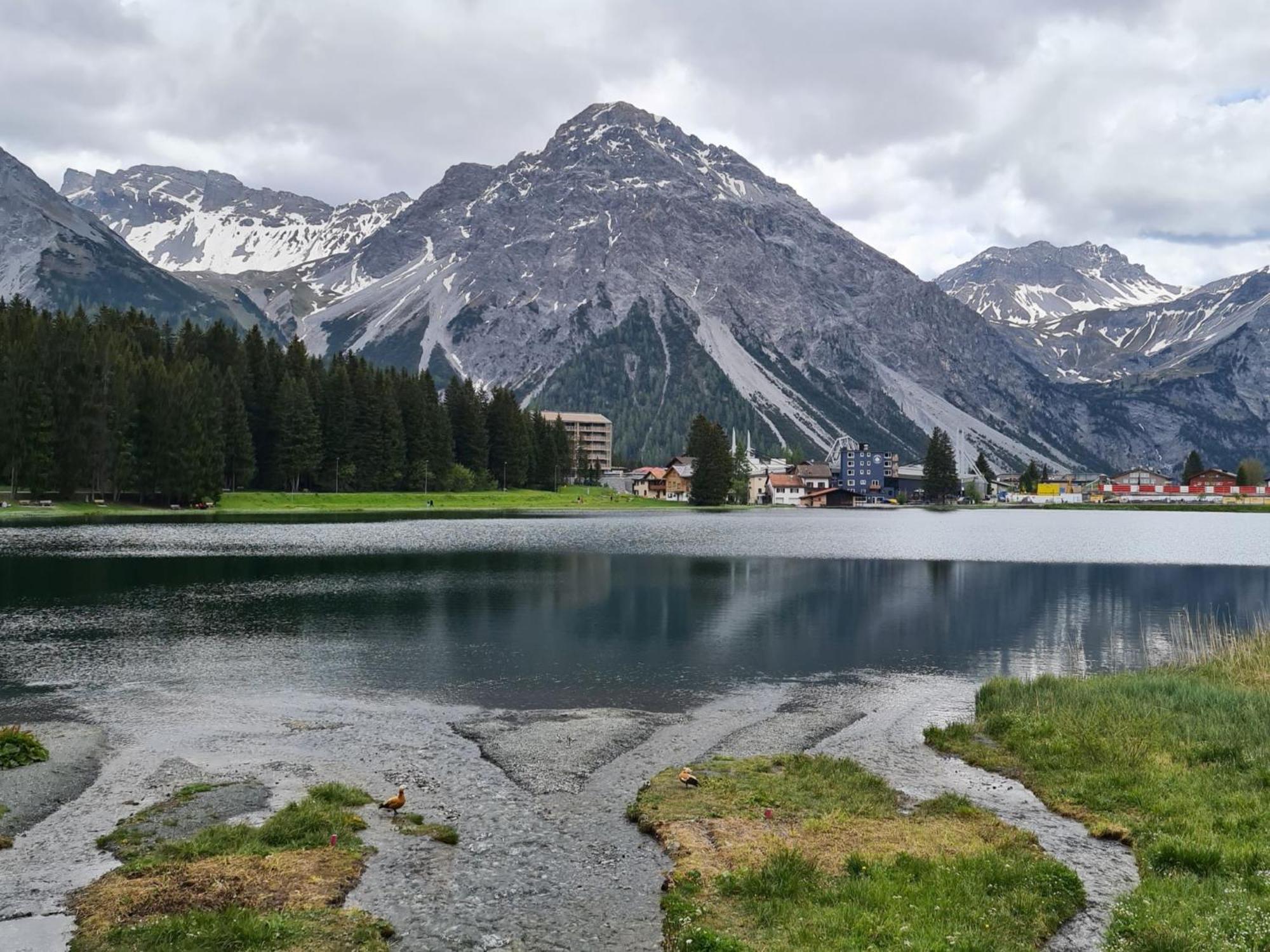 Fewo D'Rock Arosa- Center Of Nightlife By Nature Apartments Switzerland Buitenkant foto